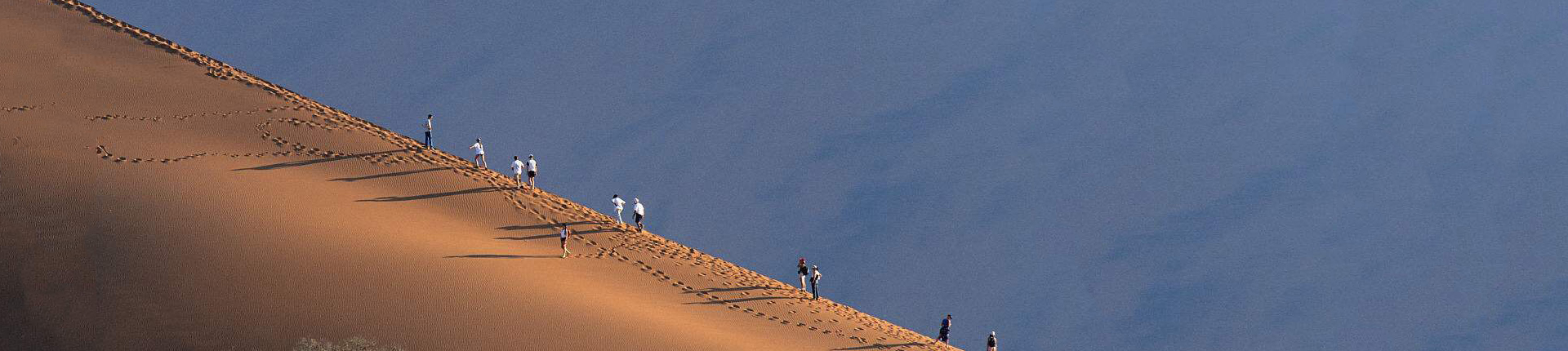 智庫(kù)團(tuán)隊(duì)