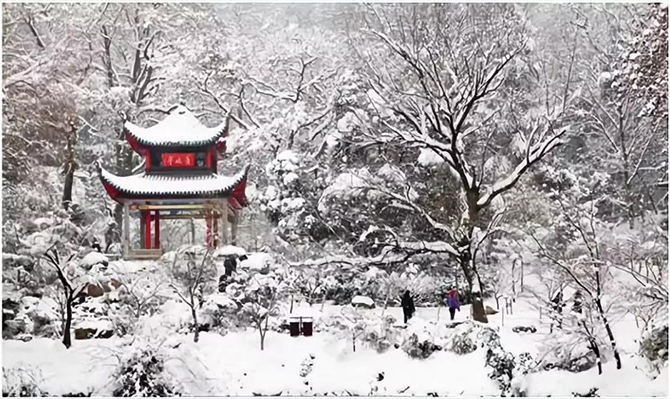 萬(wàn)里長(zhǎng)空飛瑞雪 ——遠(yuǎn)景智庫(kù)2019新年賀詞