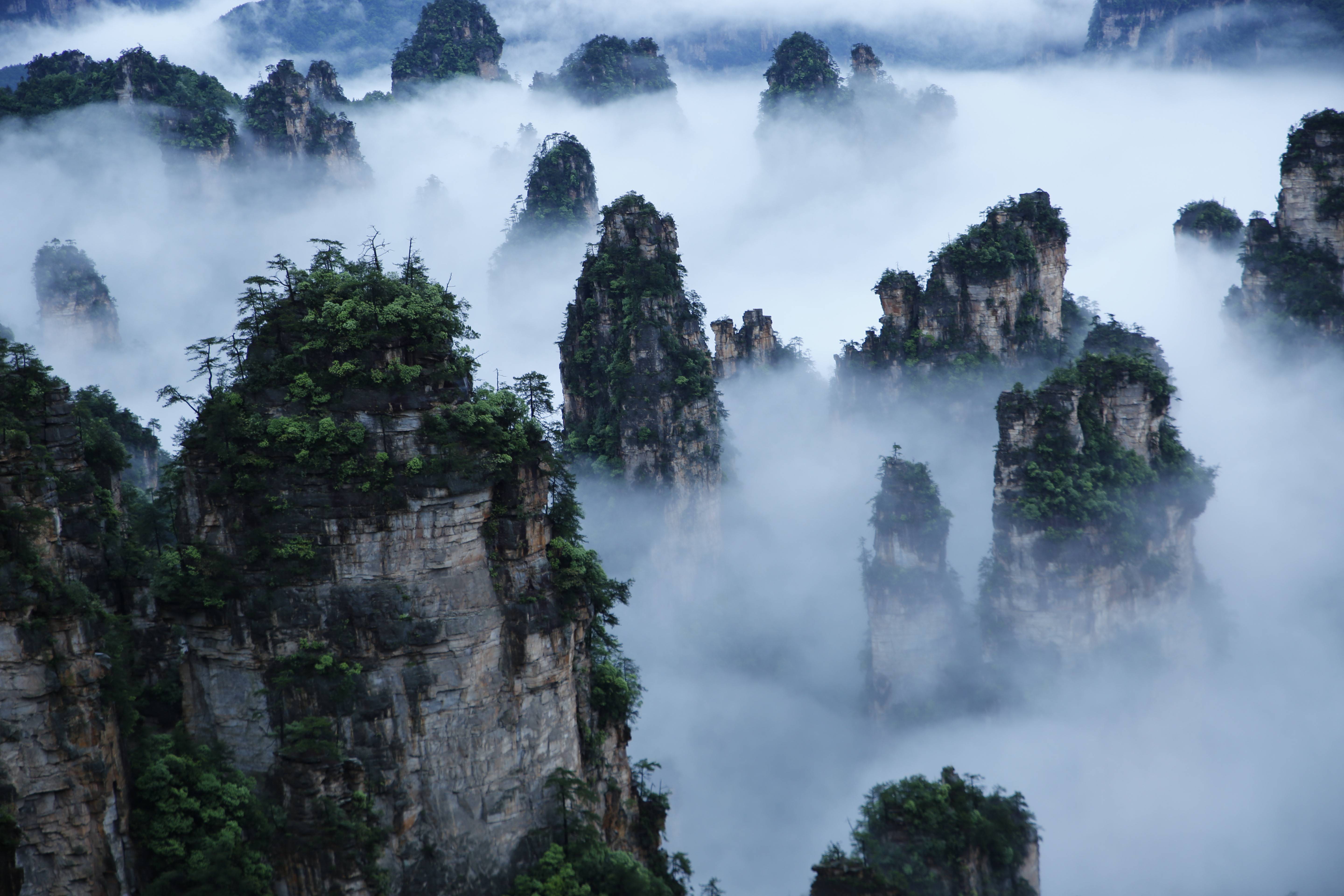 武陵源景區(qū)天子山云海,圖源:湖南日報(bào).jpeg 武陵源景區(qū)天子山云海,圖源:湖南日報(bào).jpeg