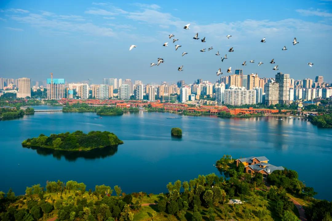 陳獻(xiàn)春：把湖南打造成為具有核心競(jìng)爭(zhēng)力的全球文化科技中心